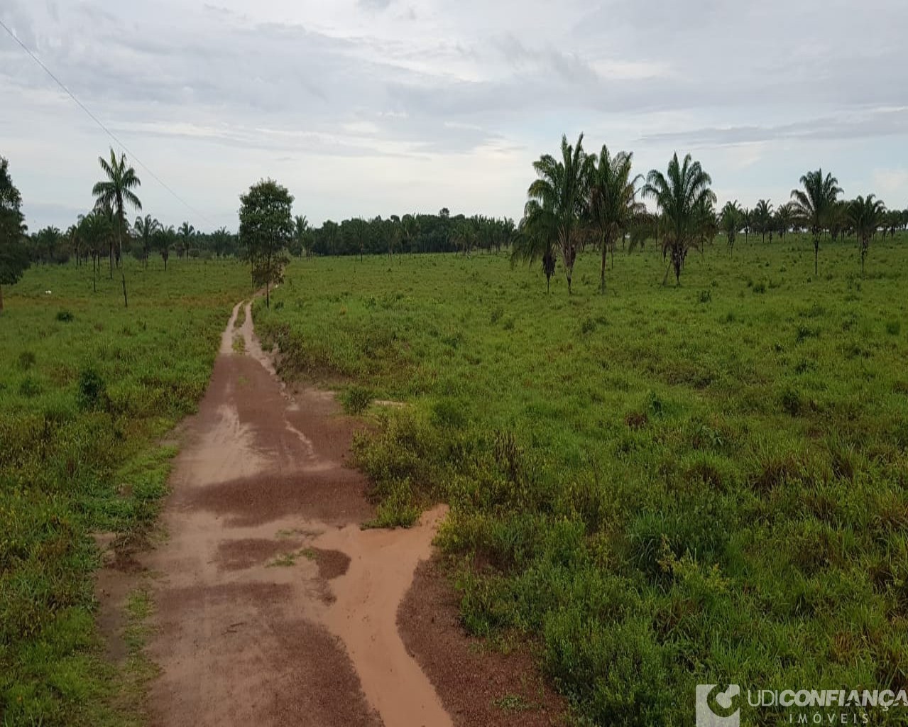 Fazenda à venda, 600m² - Foto 10