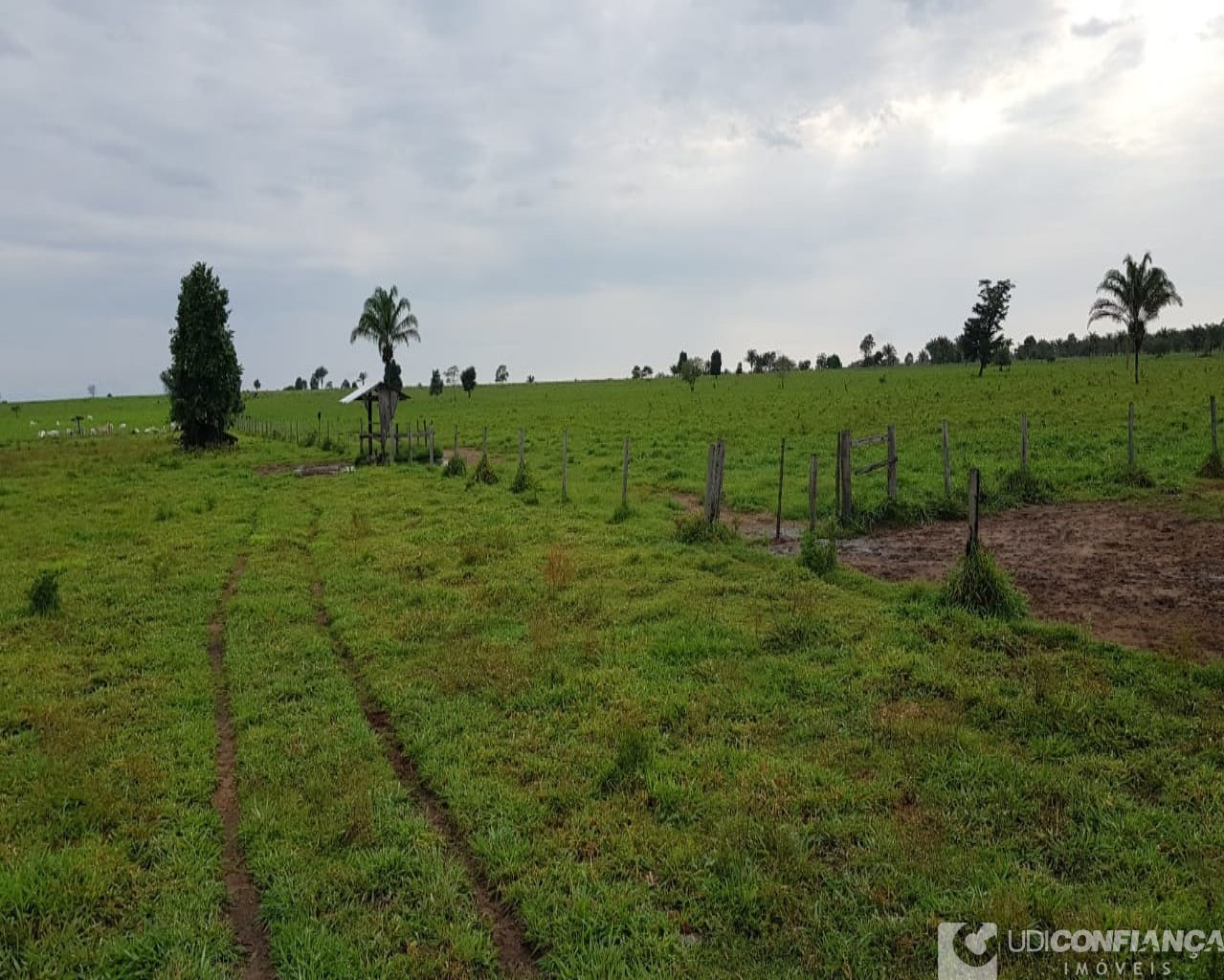 Fazenda à venda, 600m² - Foto 9