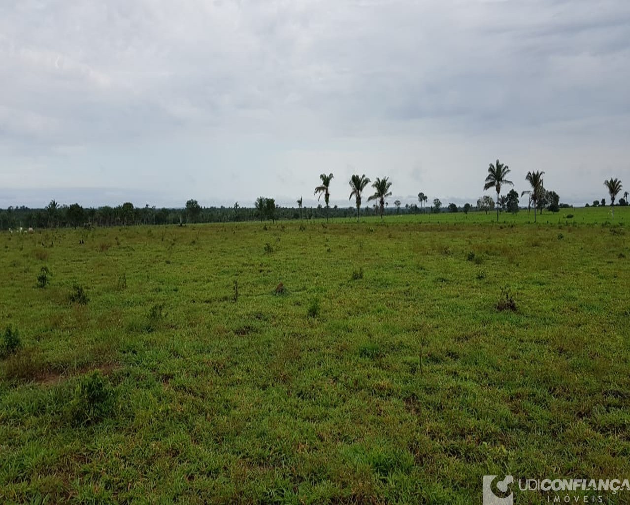 Fazenda à venda, 600m² - Foto 15