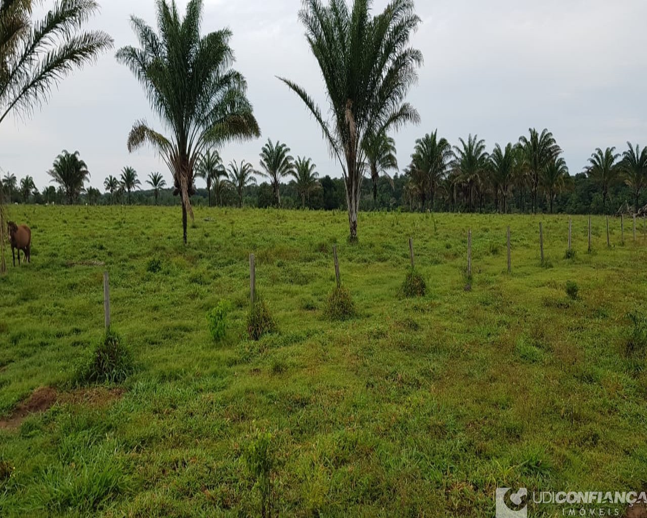 Fazenda à venda, 600m² - Foto 7