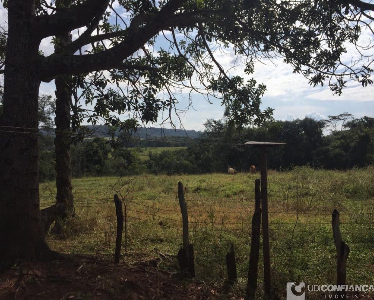 Fazenda à venda - Foto 8