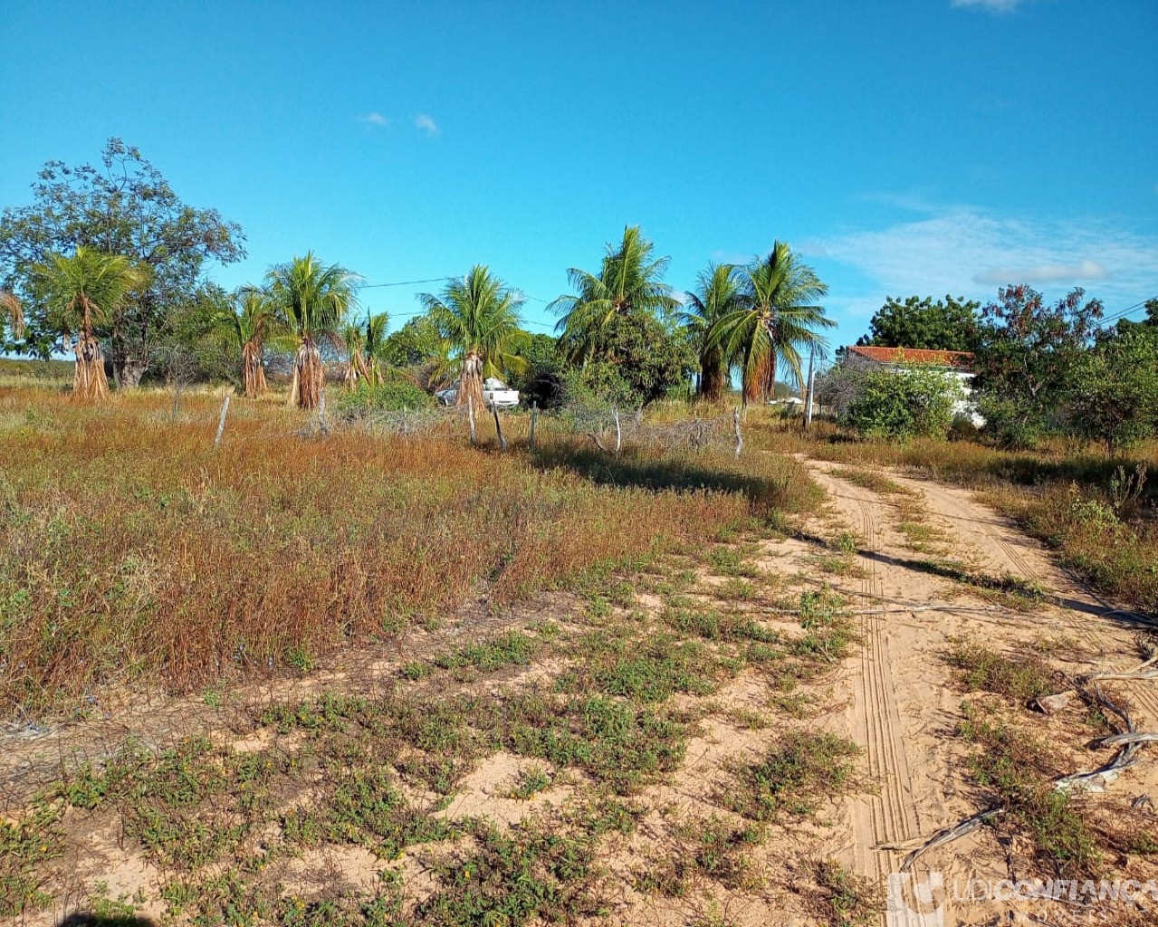 Fazenda à venda com 2 quartos - Foto 10