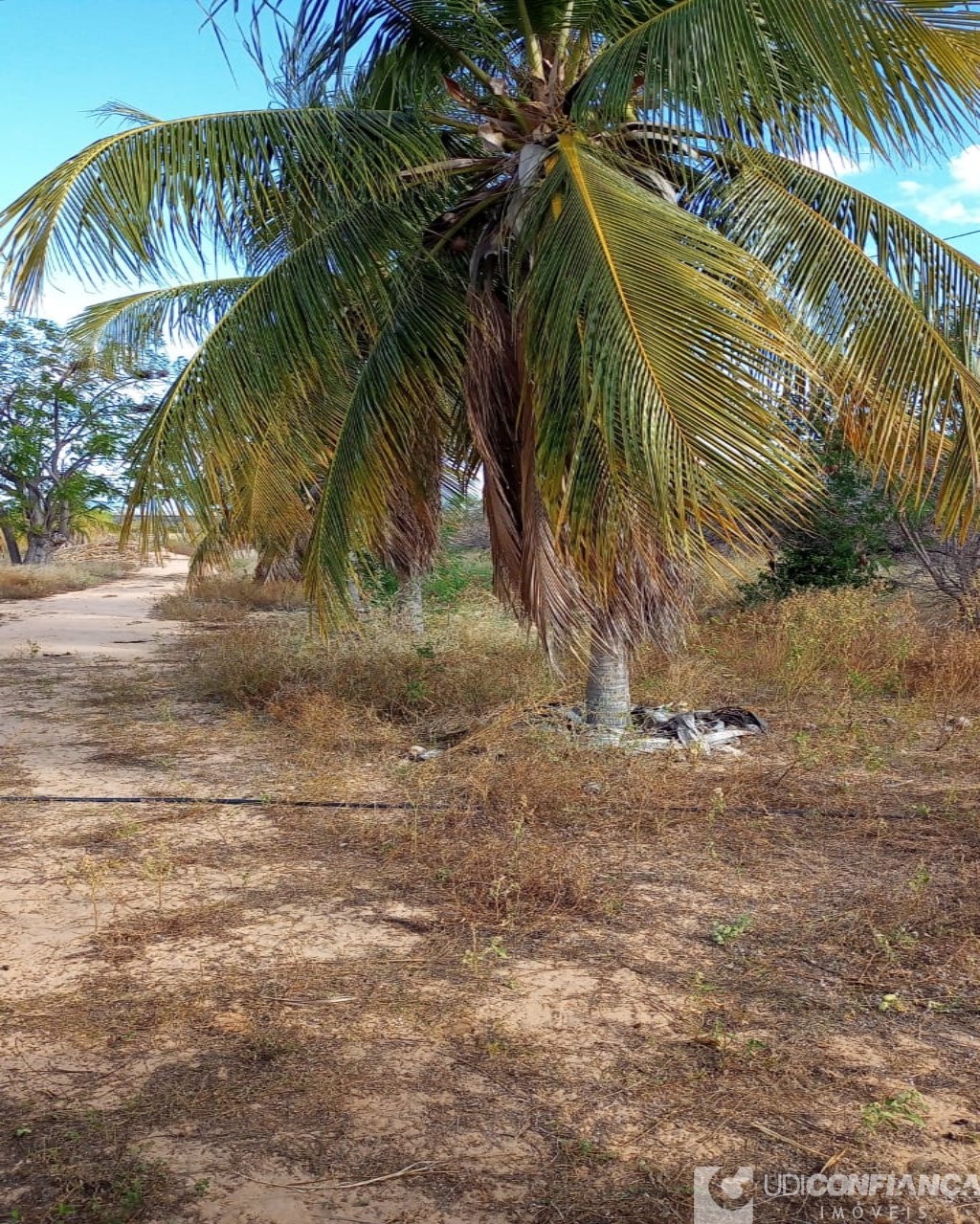 Fazenda à venda com 2 quartos - Foto 5