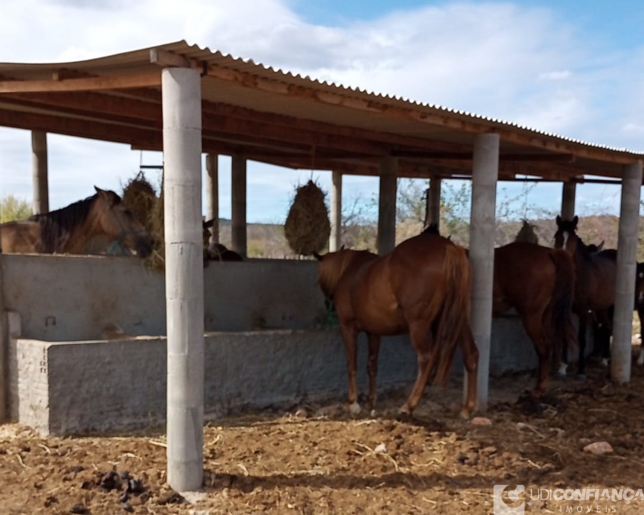 Fazenda à venda com 2 quartos - Foto 6