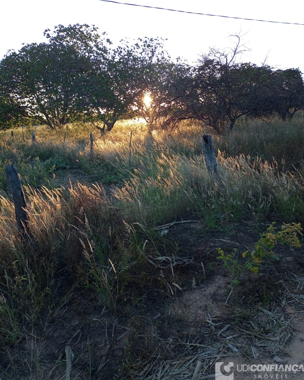 Fazenda à venda com 2 quartos - Foto 7