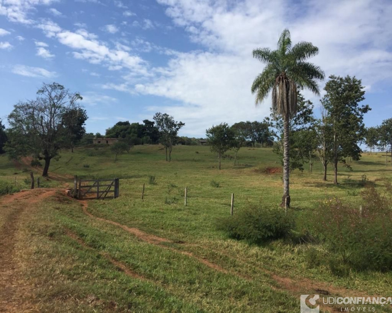 Fazenda à venda - Foto 4