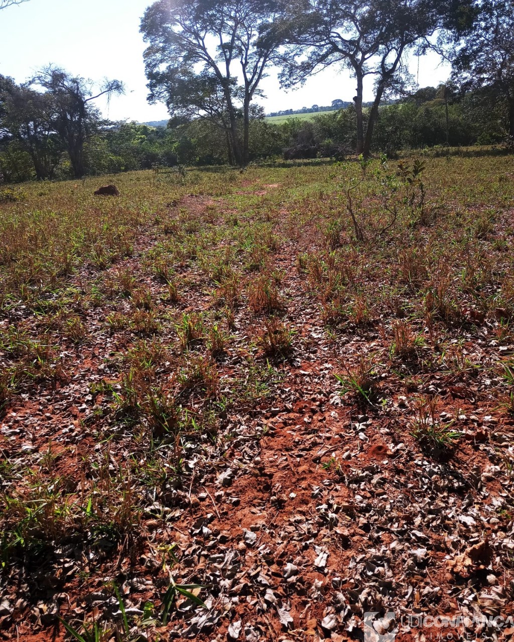 Fazenda à venda - Foto 1