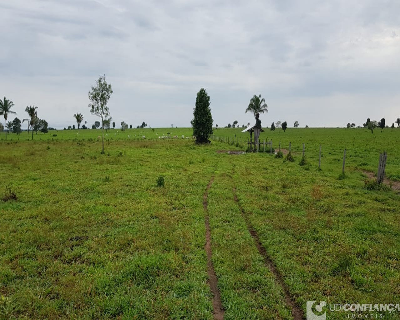 Fazenda à venda, 600m² - Foto 4