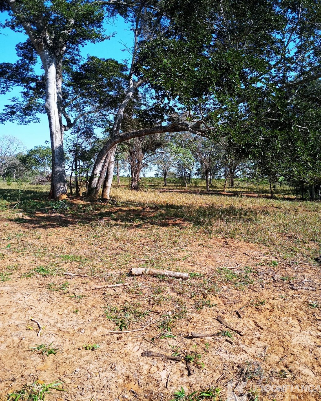 Fazenda à venda - Foto 11