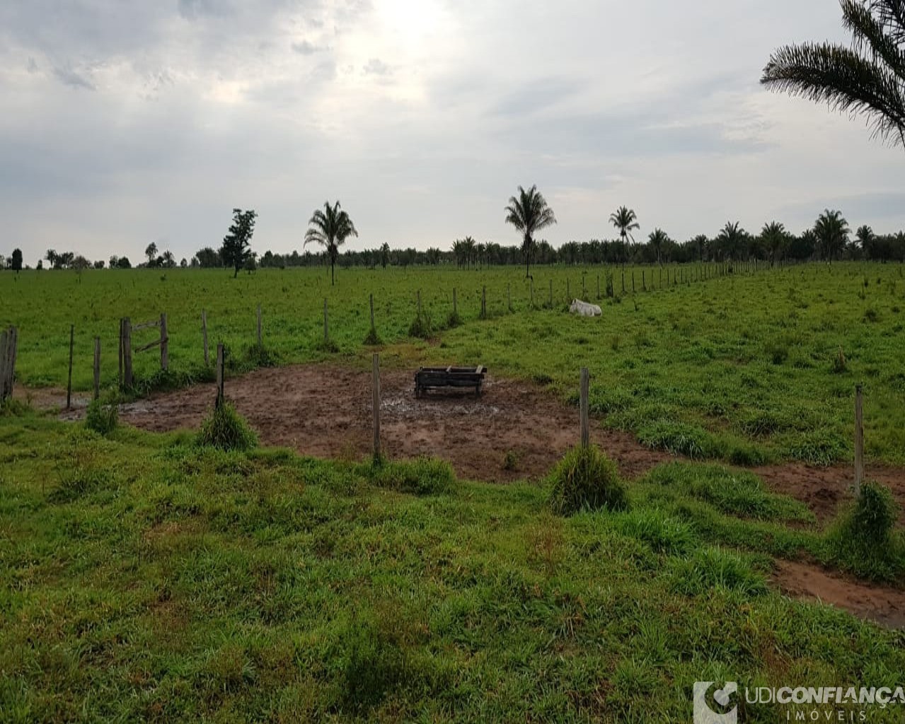 Fazenda à venda, 600m² - Foto 18