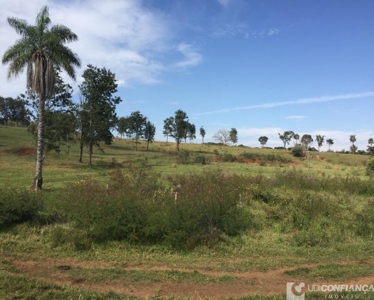 Fazenda à venda - Foto 3