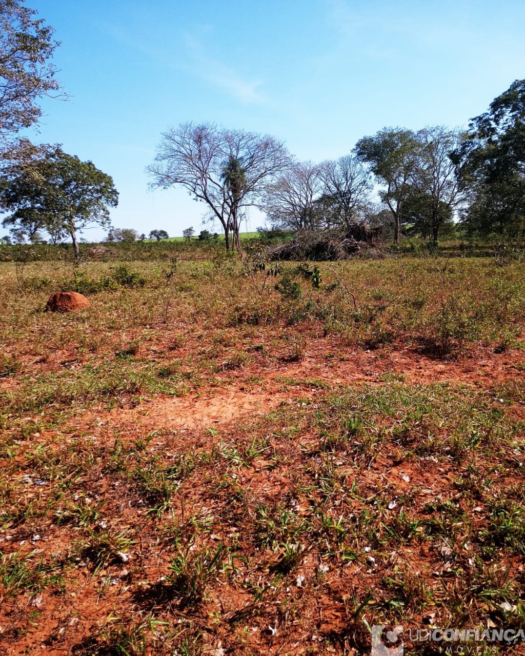 Fazenda à venda - Foto 10