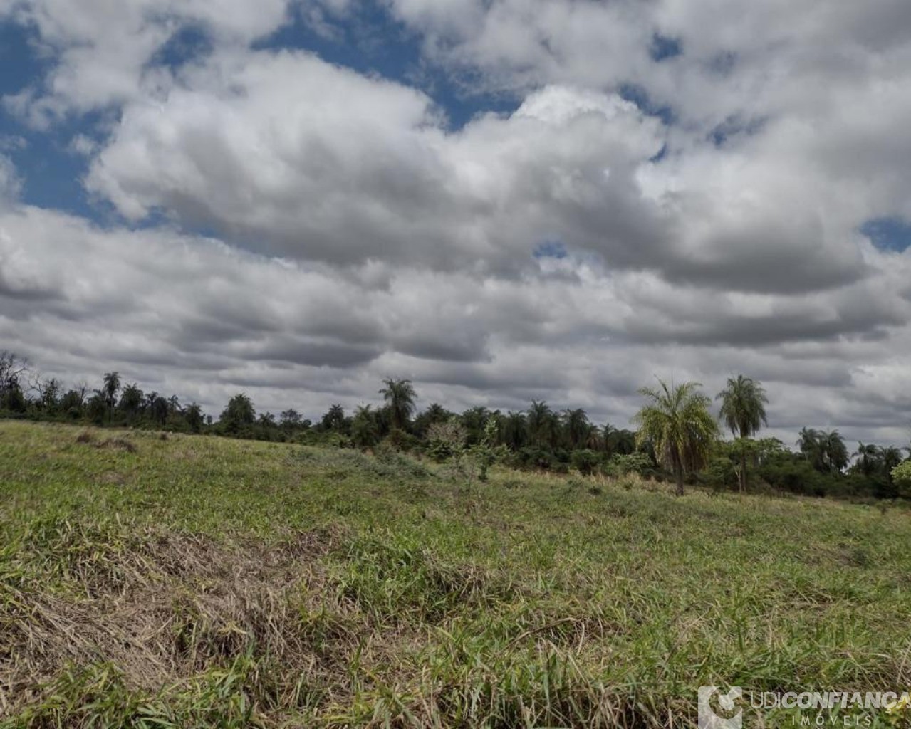 Fazenda à venda, 700m² - Foto 3