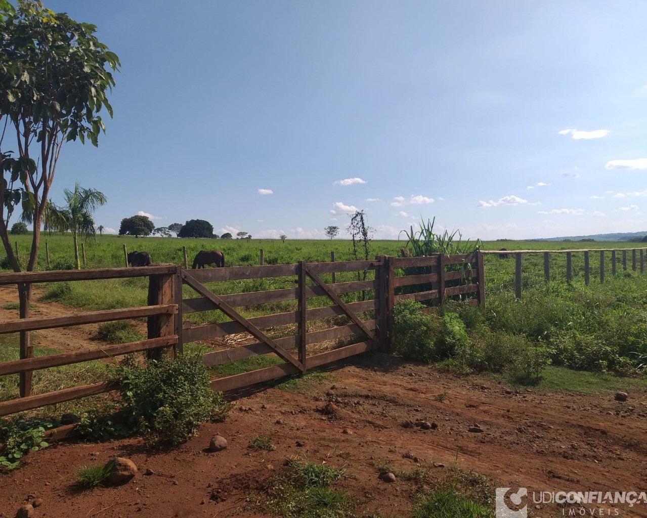 Fazenda à venda, 110m² - Foto 5