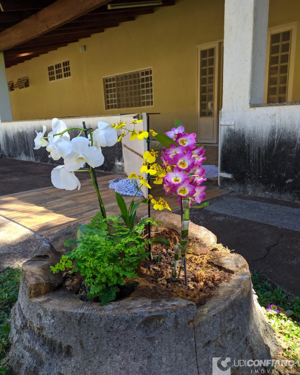 Fazenda à venda, 3m² - Foto 4