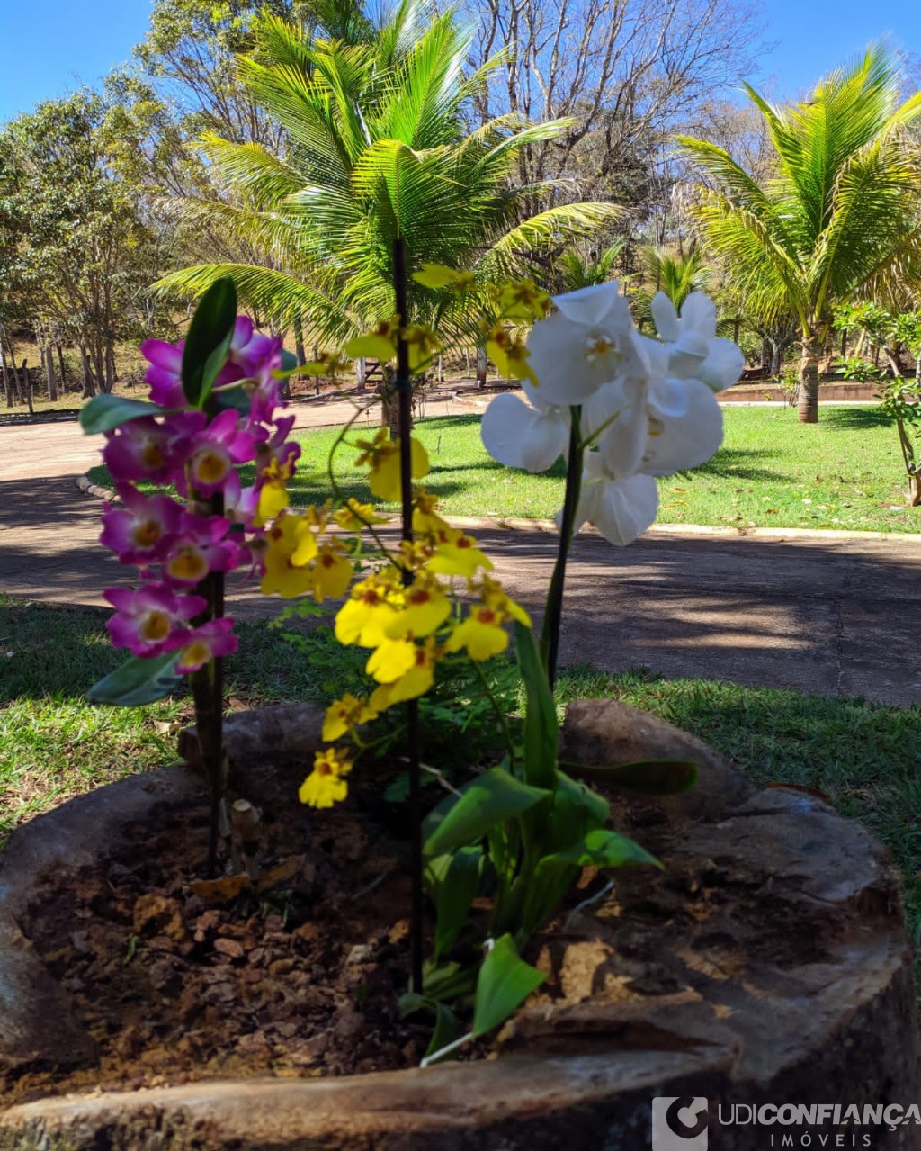 Fazenda à venda, 3m² - Foto 3