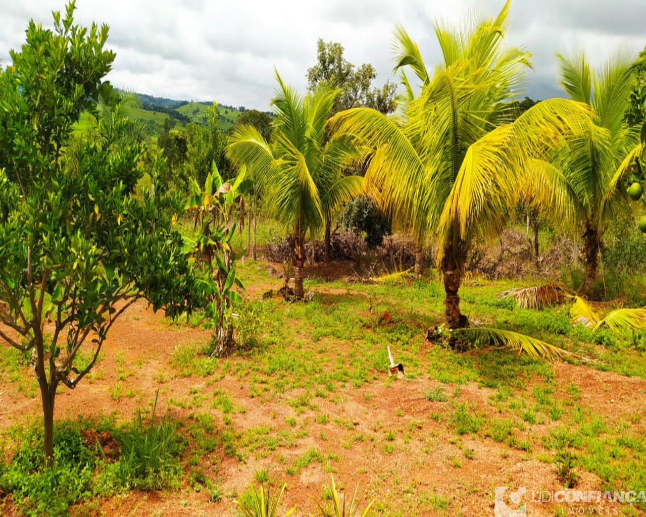 Fazenda à venda, 7000m² - Foto 2