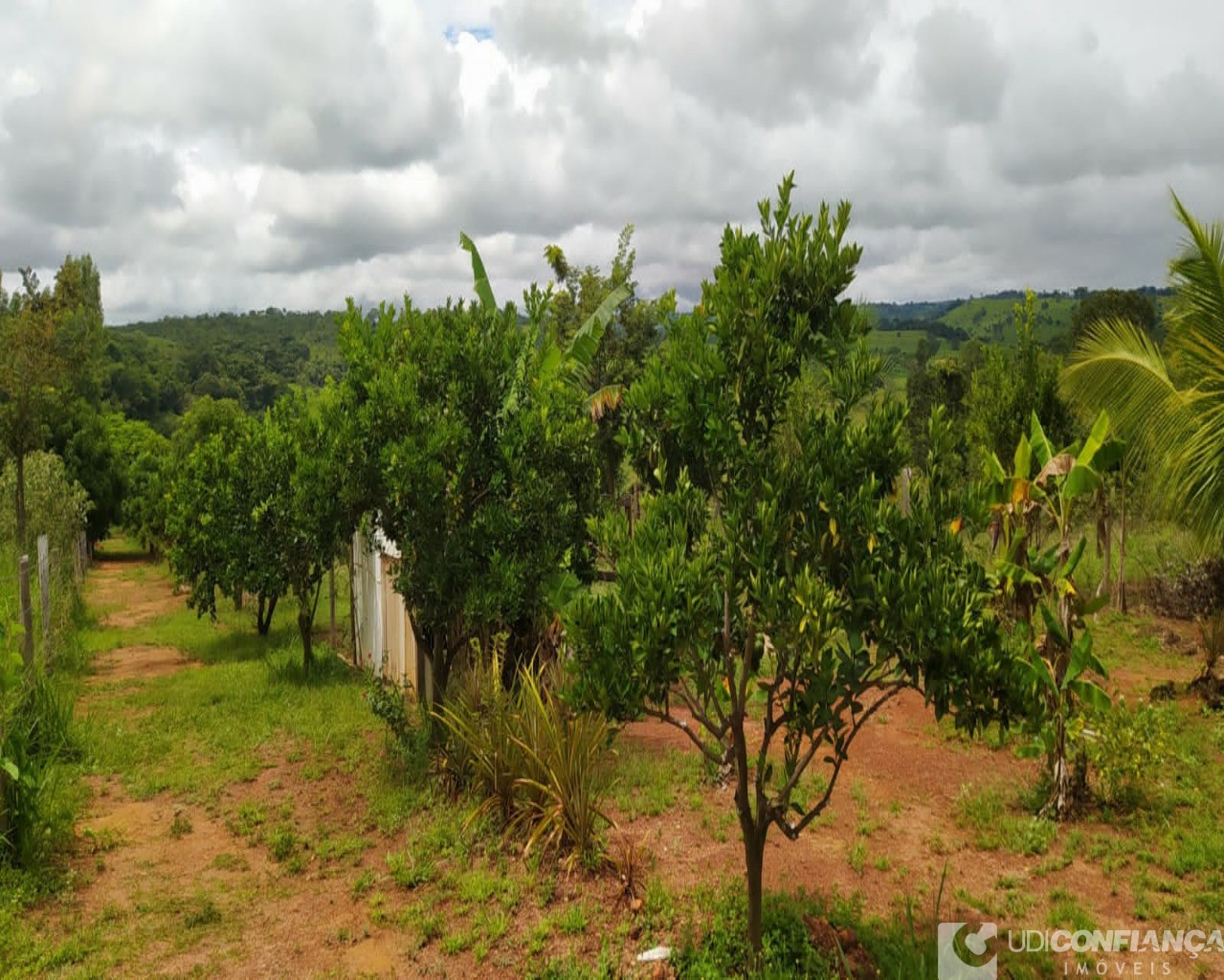 Fazenda à venda, 7000m² - Foto 4