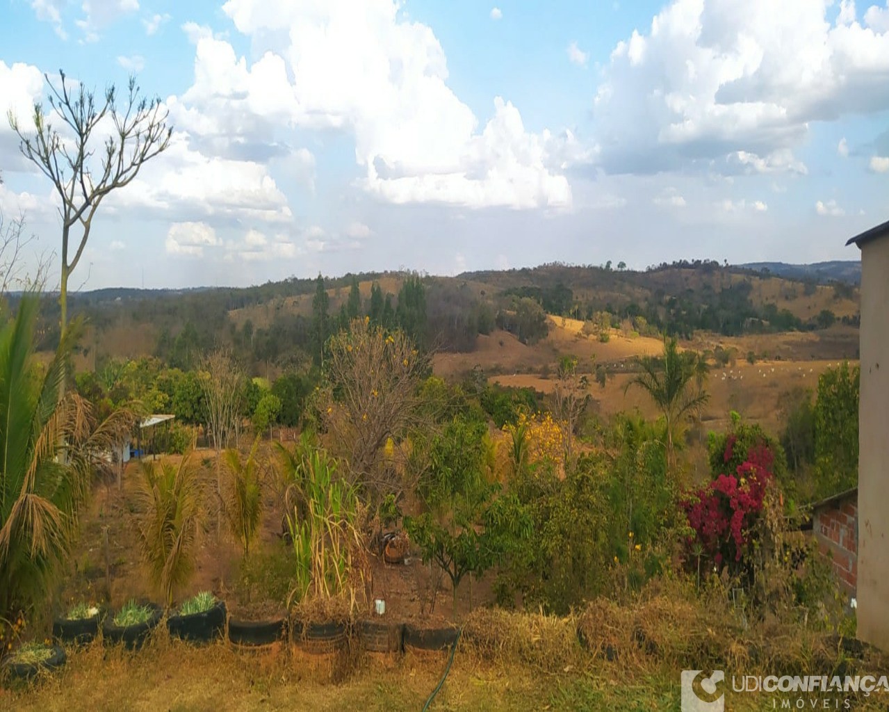 Fazenda à venda, 7000m² - Foto 17