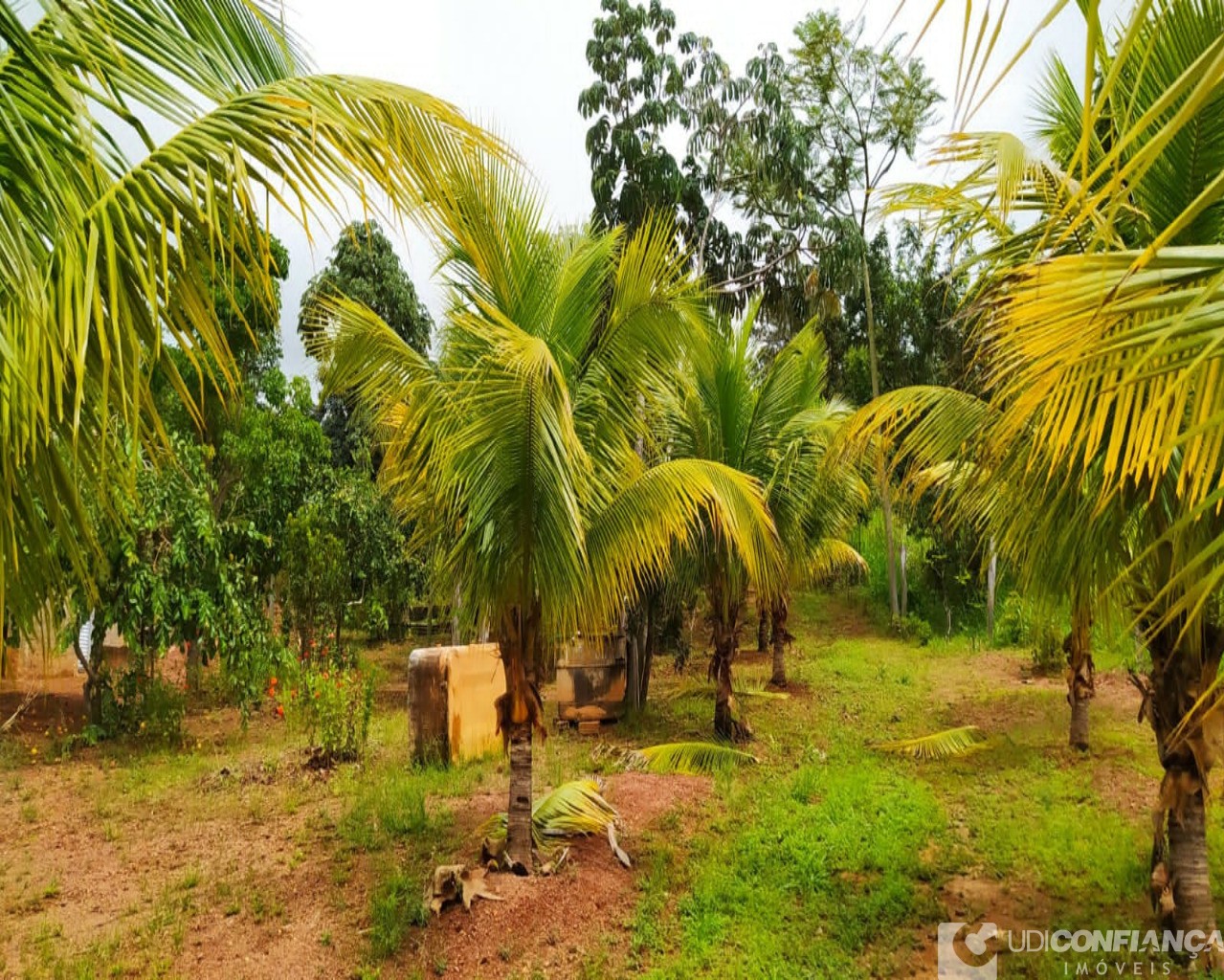 Fazenda à venda, 7000m² - Foto 7