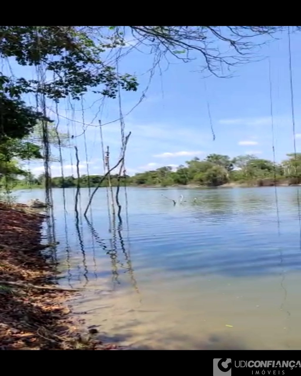 Fazenda à venda - Foto 9