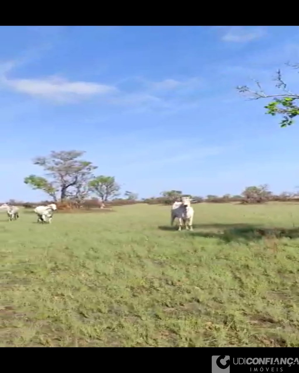 Fazenda à venda - Foto 10