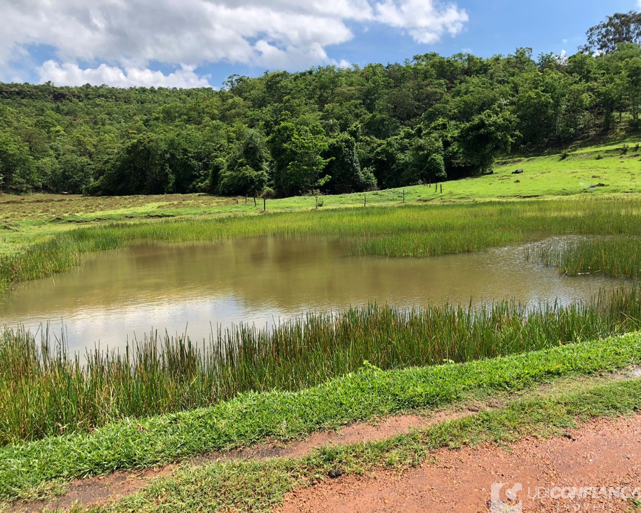 Fazenda à venda - Foto 21