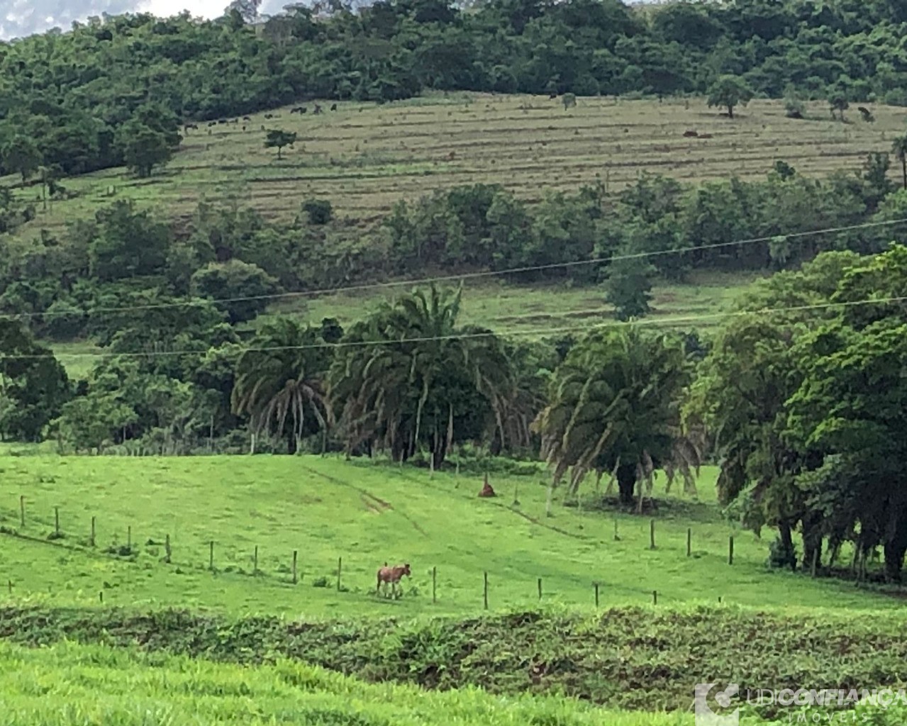 Fazenda à venda - Foto 11