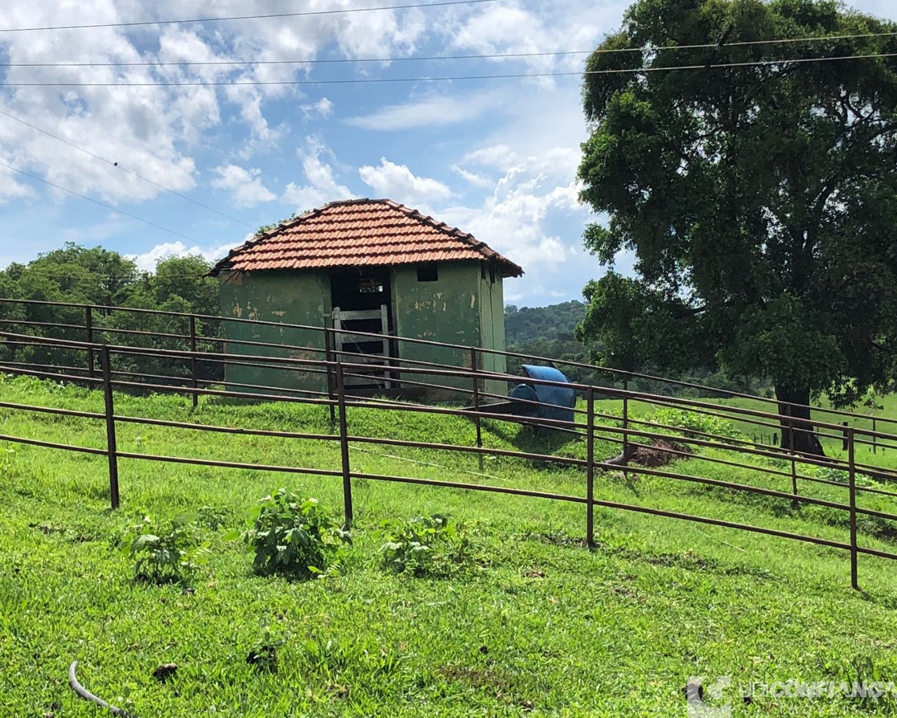 Fazenda à venda - Foto 19