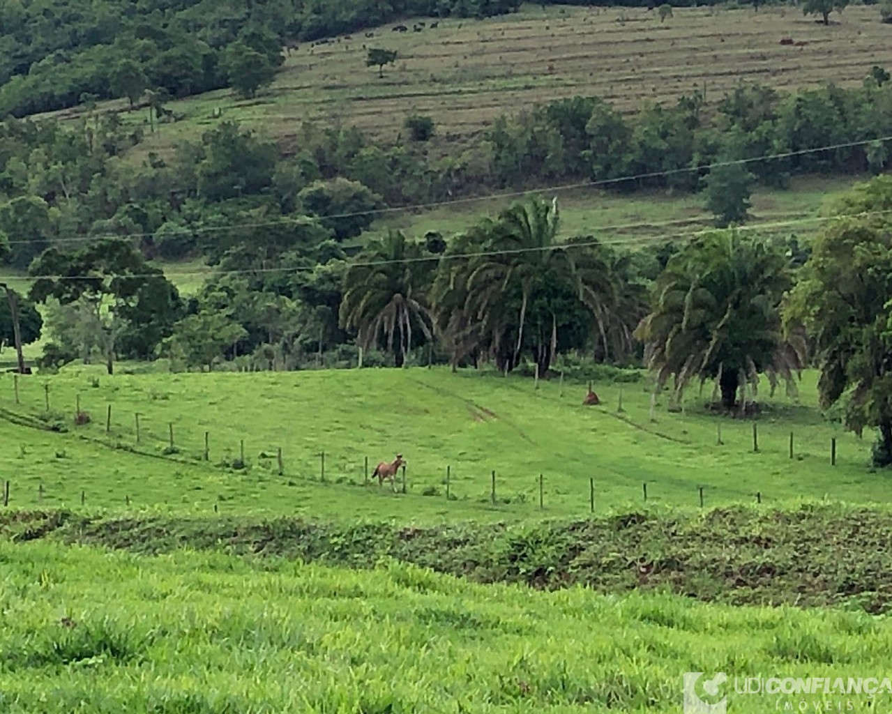 Fazenda à venda - Foto 5