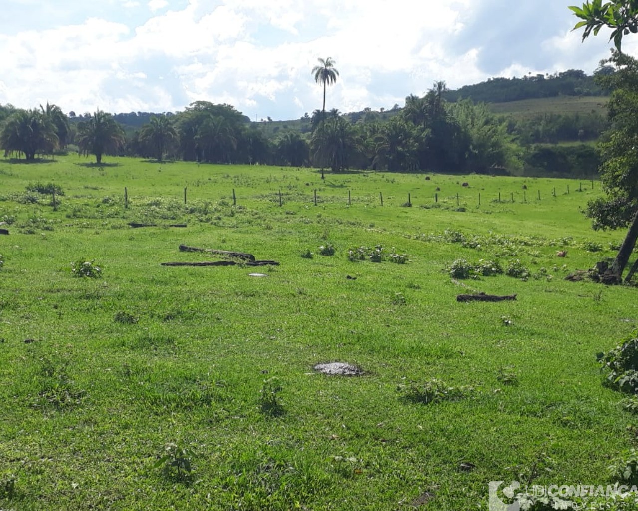 Fazenda à venda - Foto 12