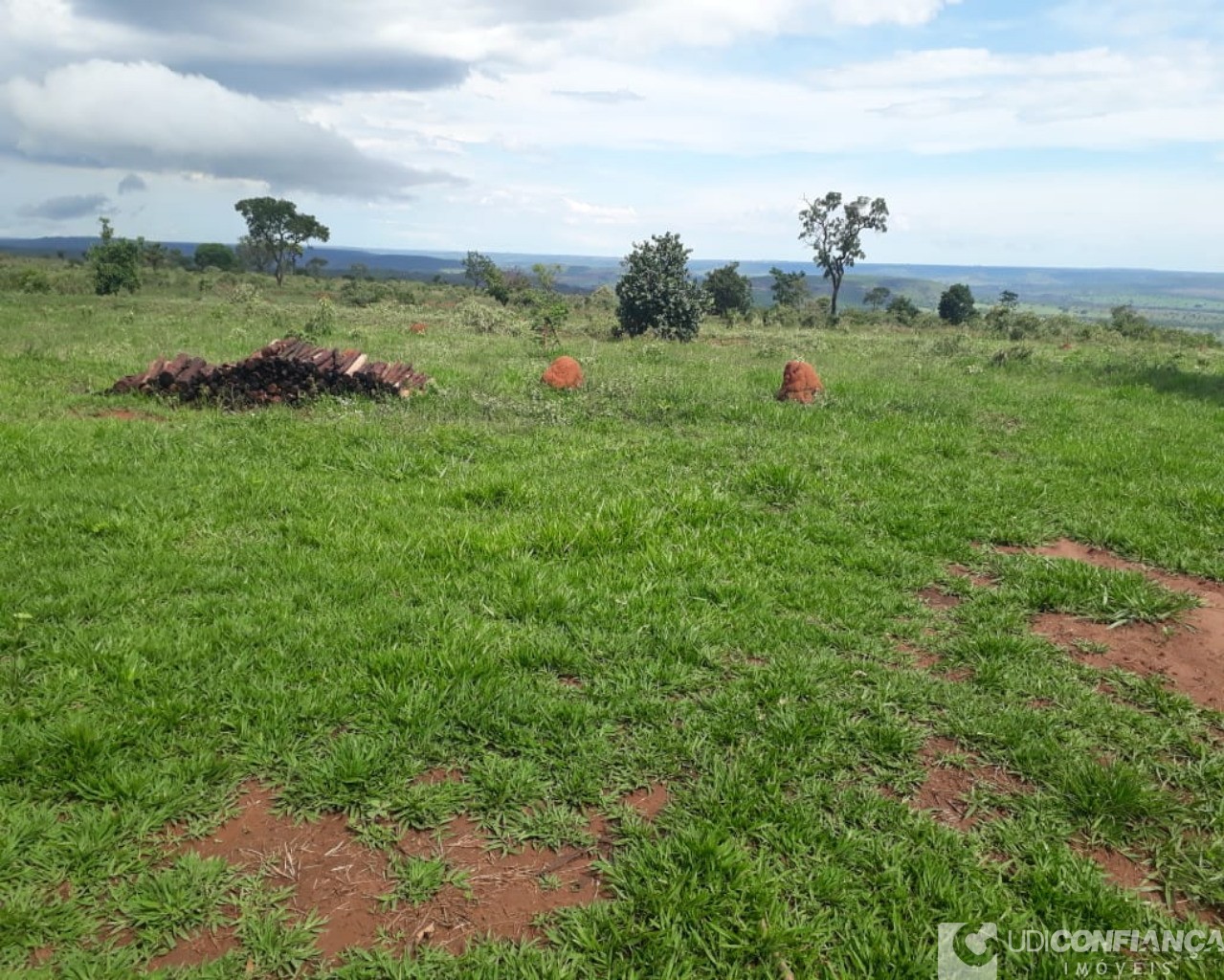 Fazenda à venda - Foto 10