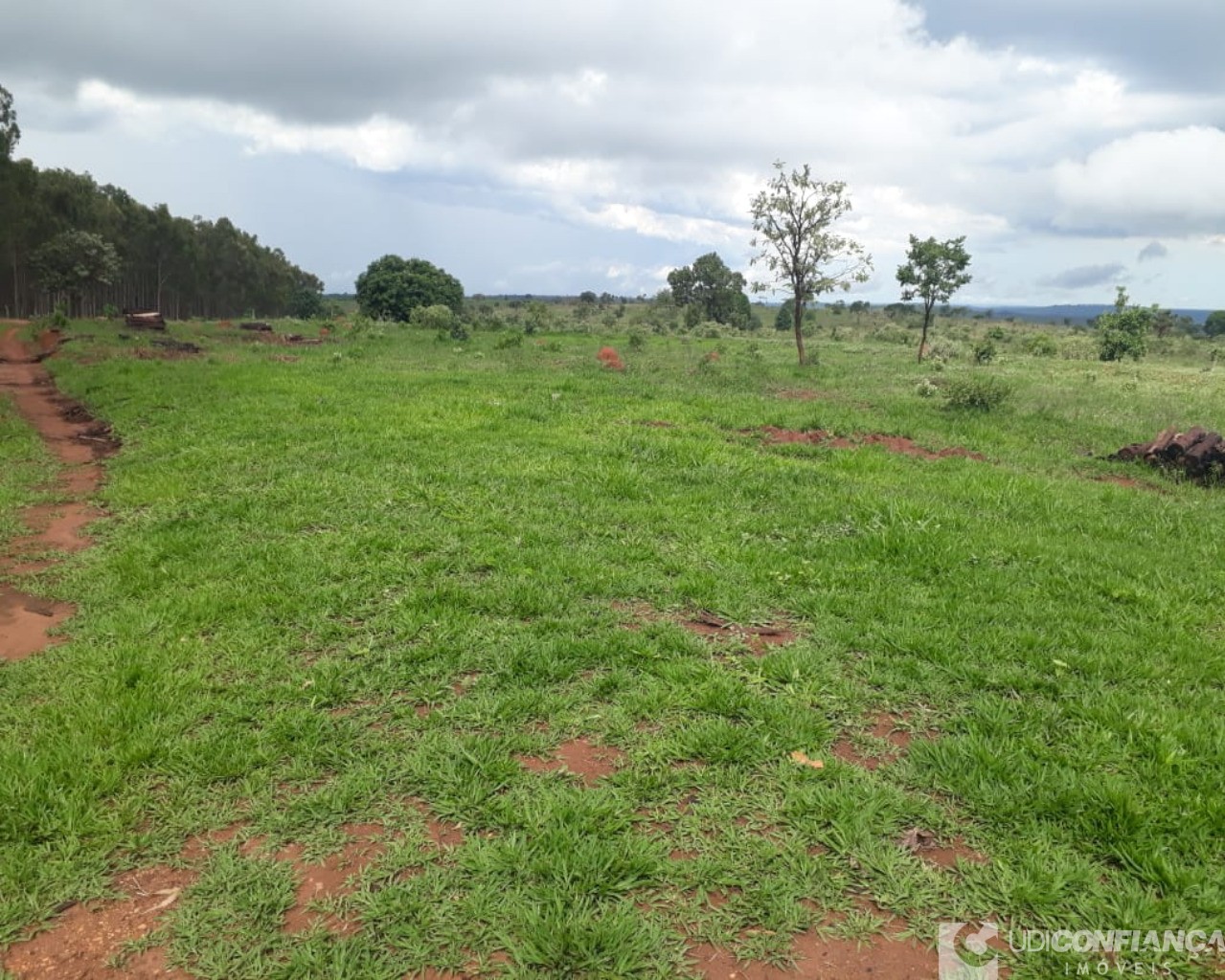 Fazenda à venda - Foto 8