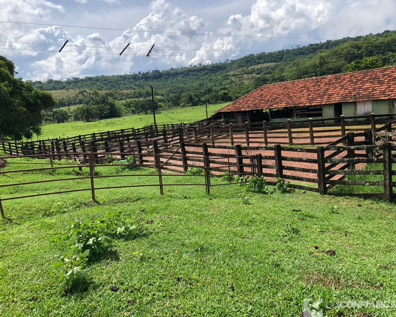 Fazenda à venda - Foto 2