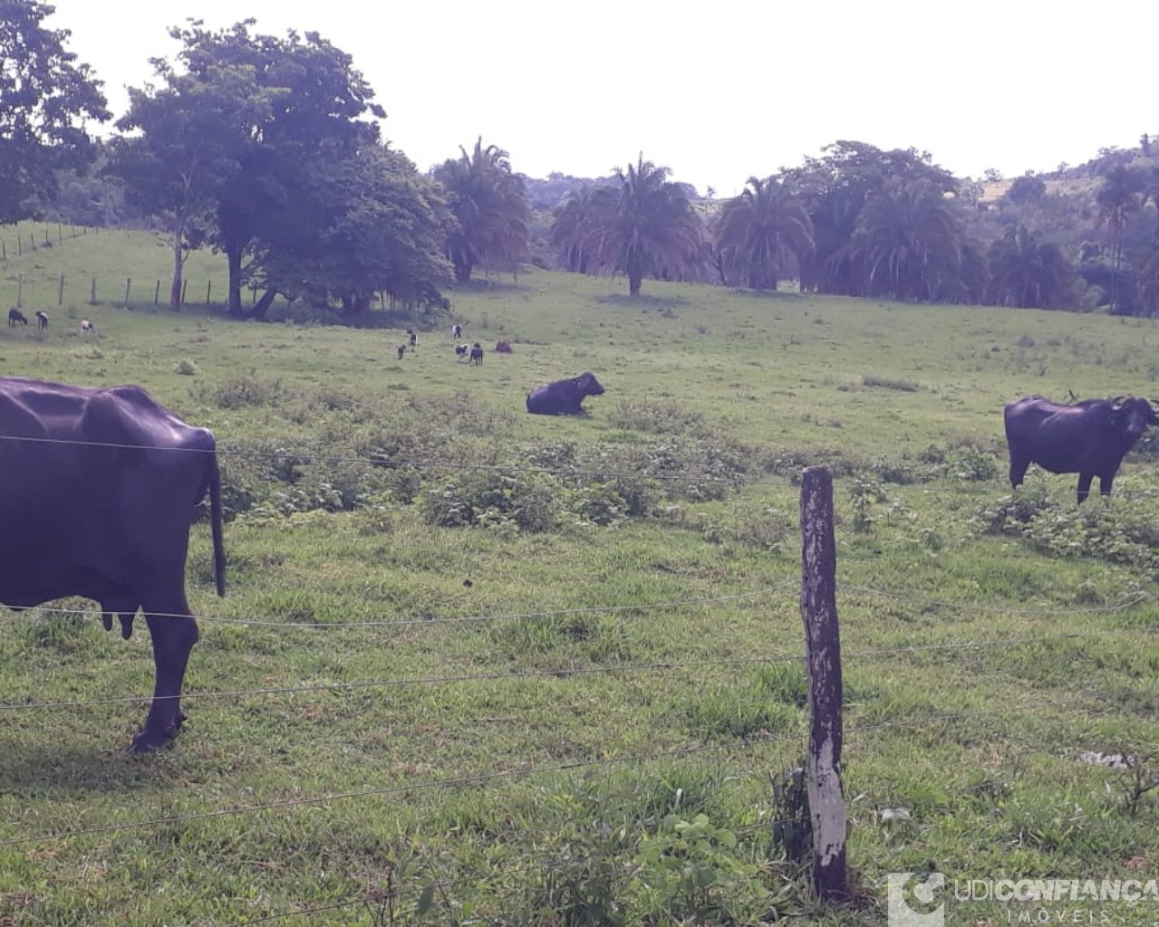 Fazenda à venda - Foto 15