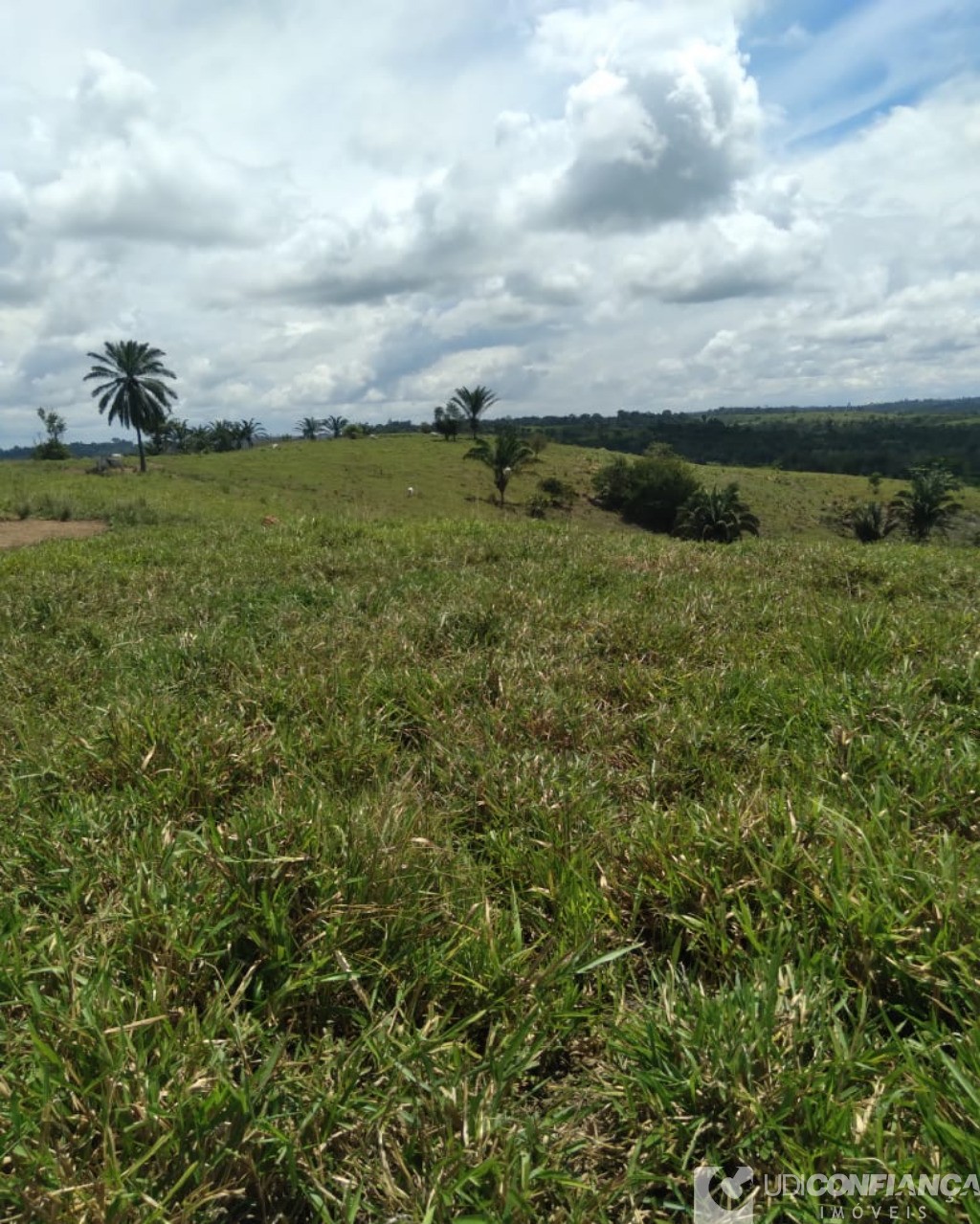 Fazenda à venda - Foto 6