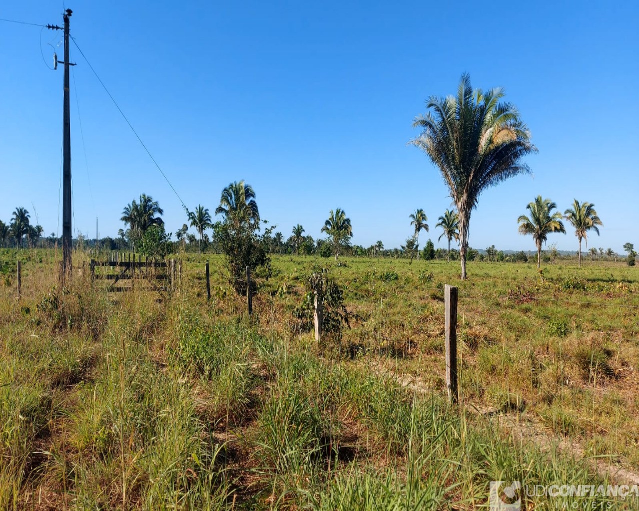 Fazenda à venda - Foto 18