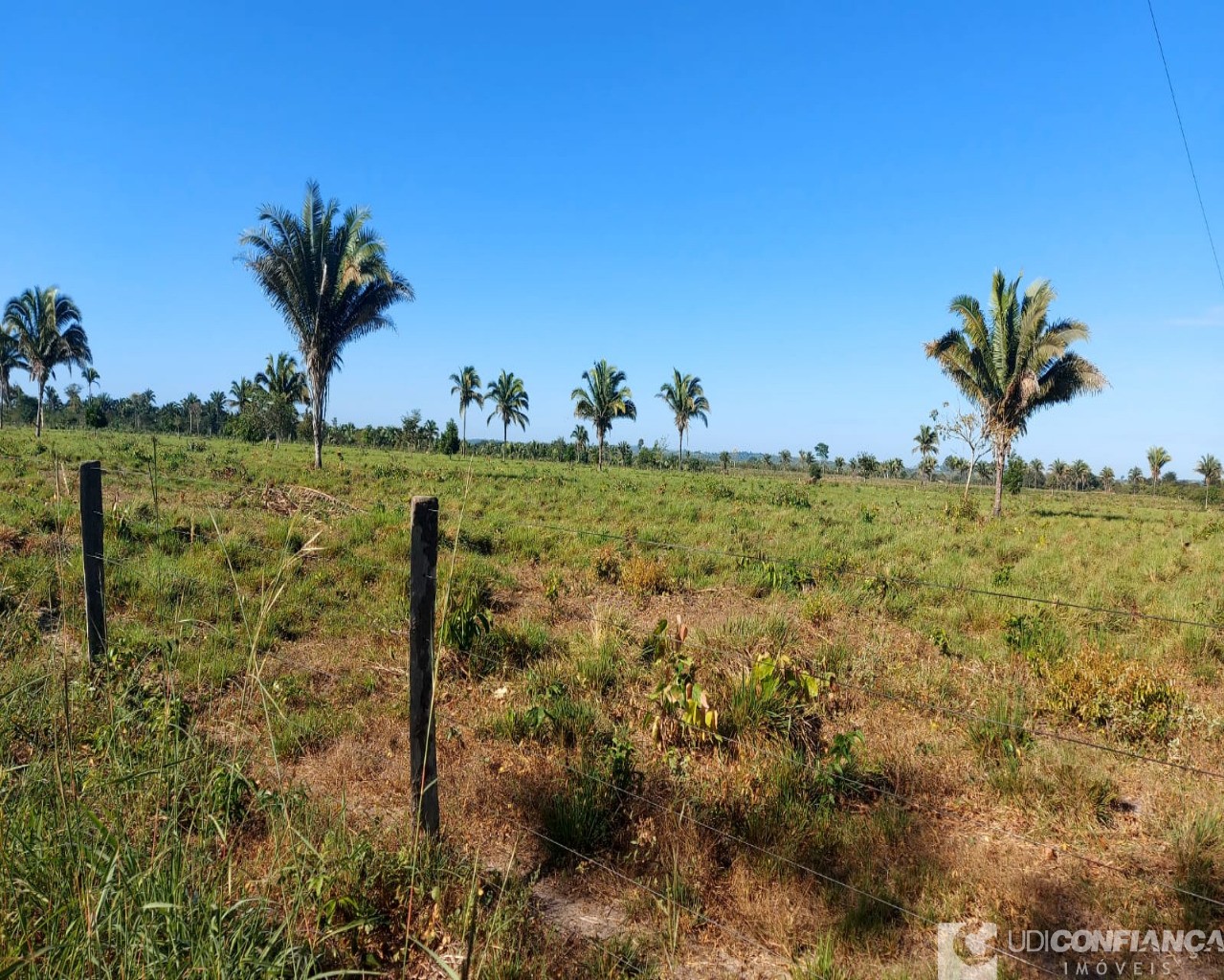 Fazenda à venda - Foto 17