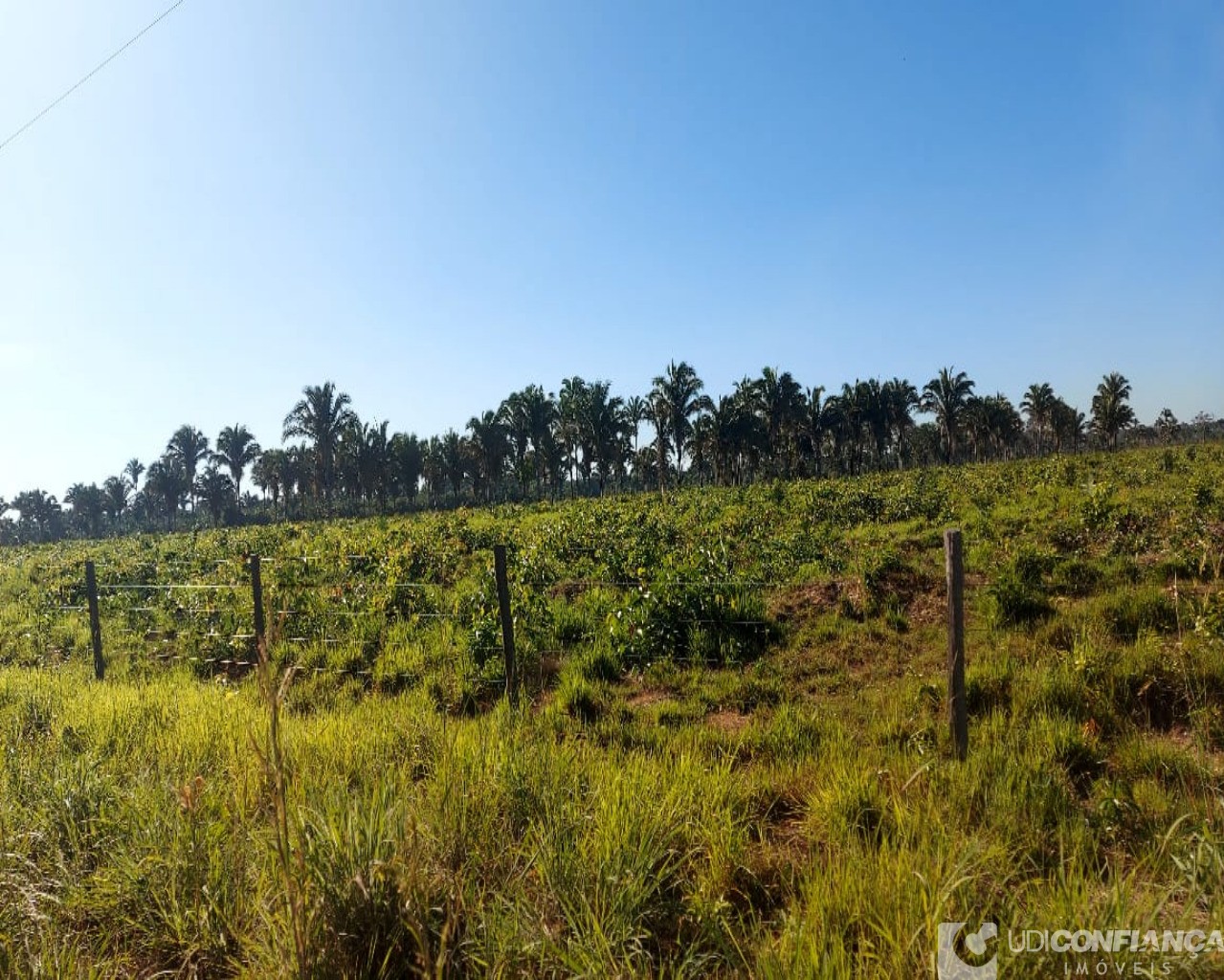 Fazenda-Sítio-Chácara - Foto 1