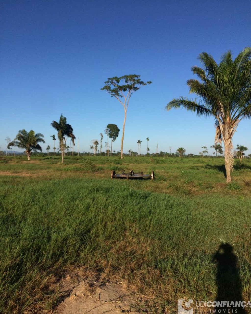 Fazenda à venda - Foto 8