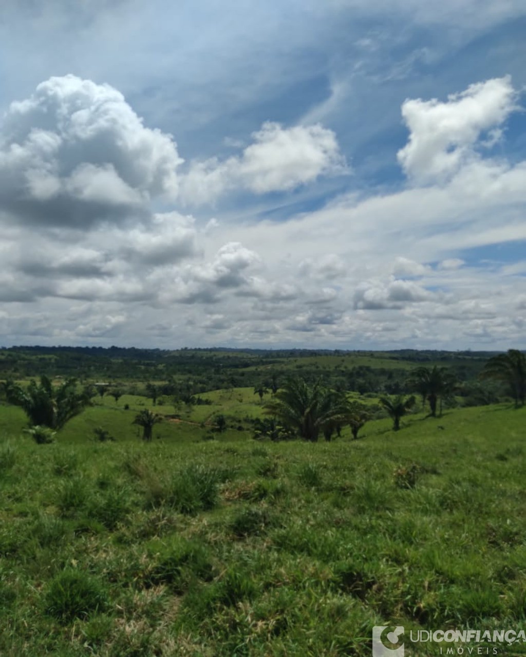 Fazenda à venda - Foto 10