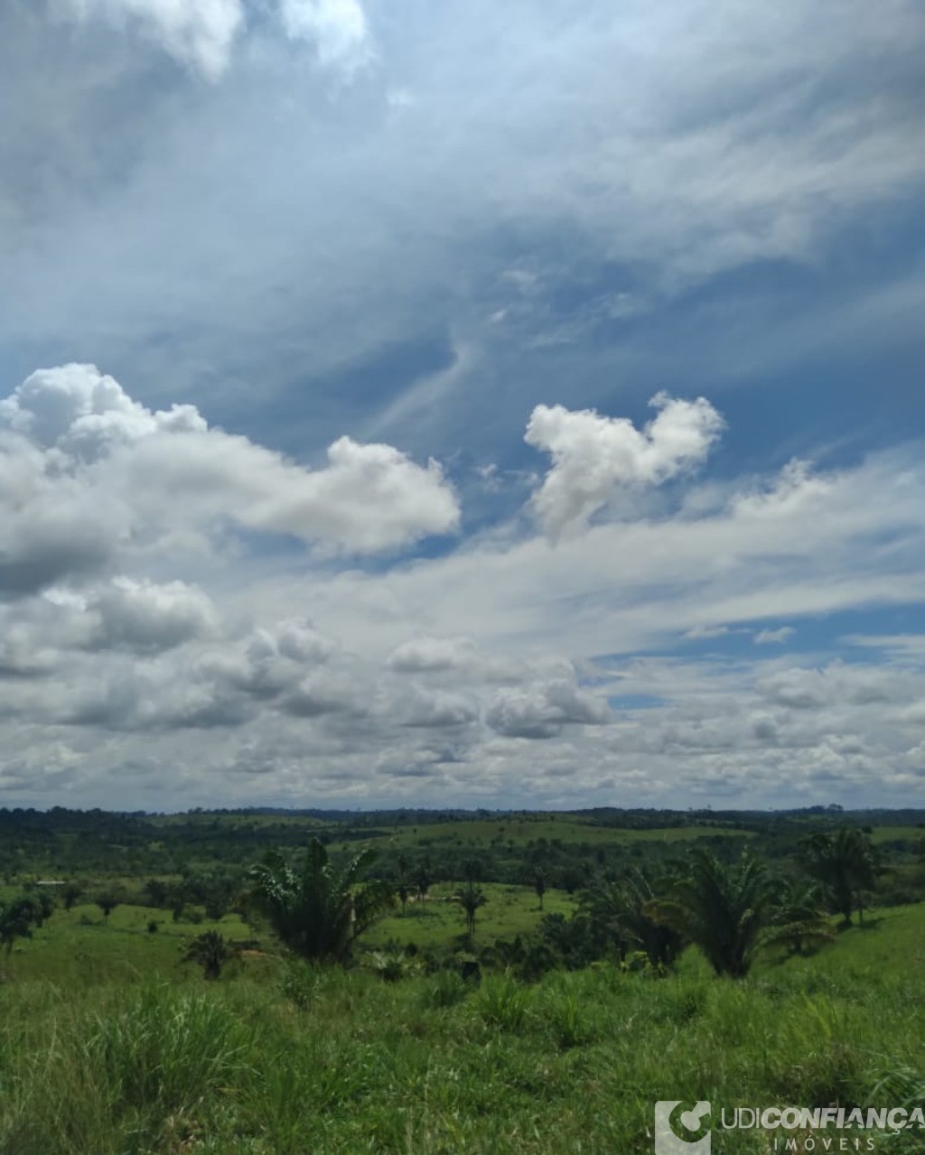 Fazenda à venda - Foto 5