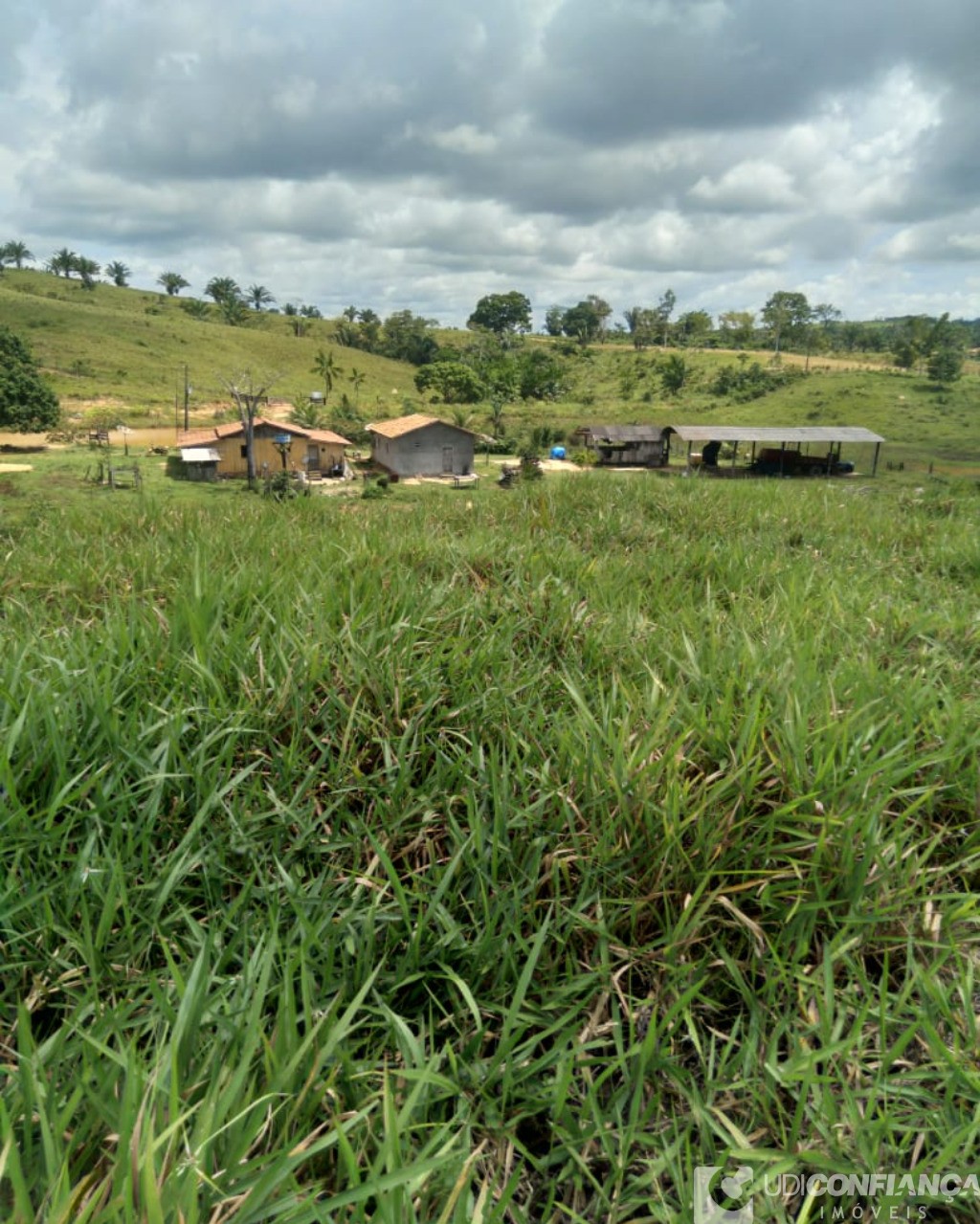 Fazenda à venda - Foto 3