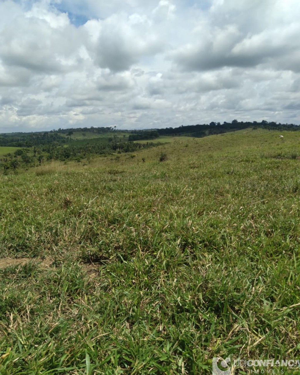 Fazenda à venda - Foto 8