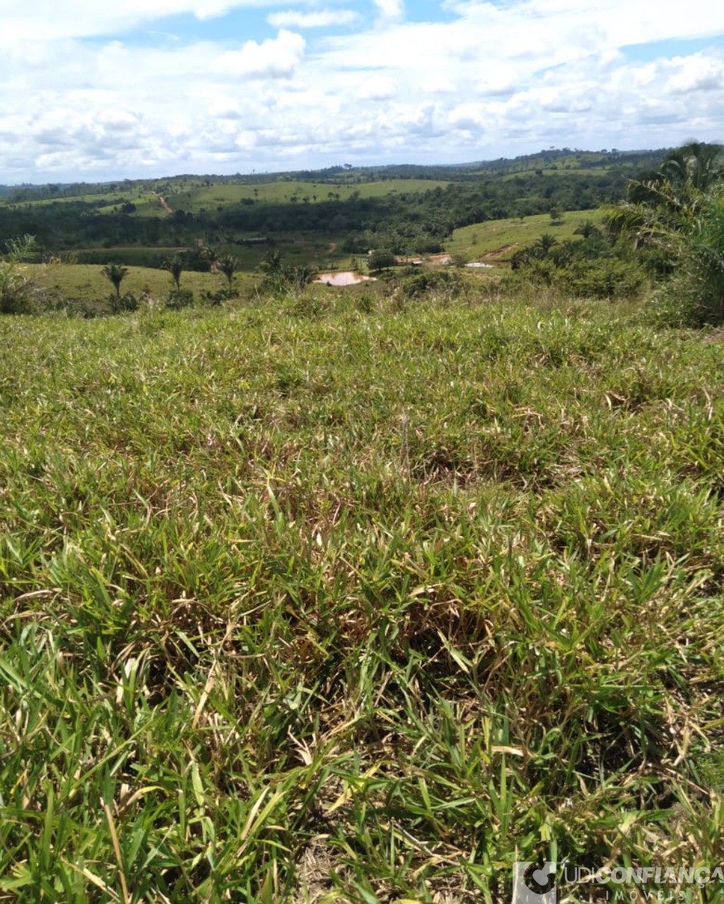 Fazenda à venda - Foto 9