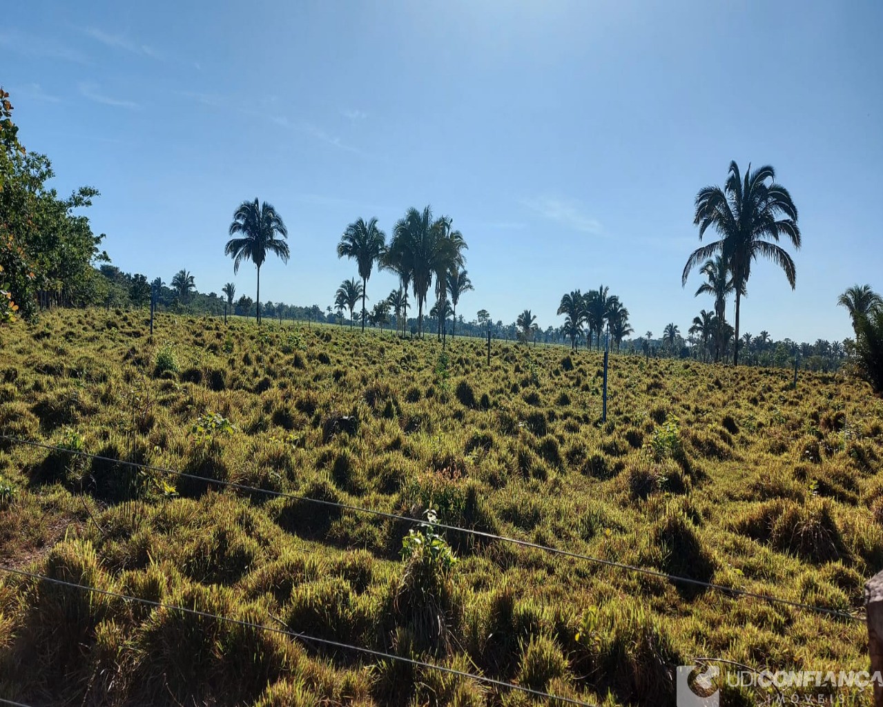 Fazenda-Sítio-Chácara - Foto 2