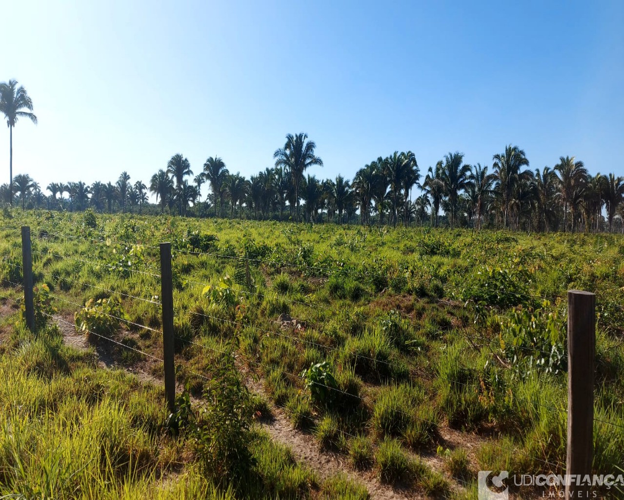 Fazenda à venda - Foto 12