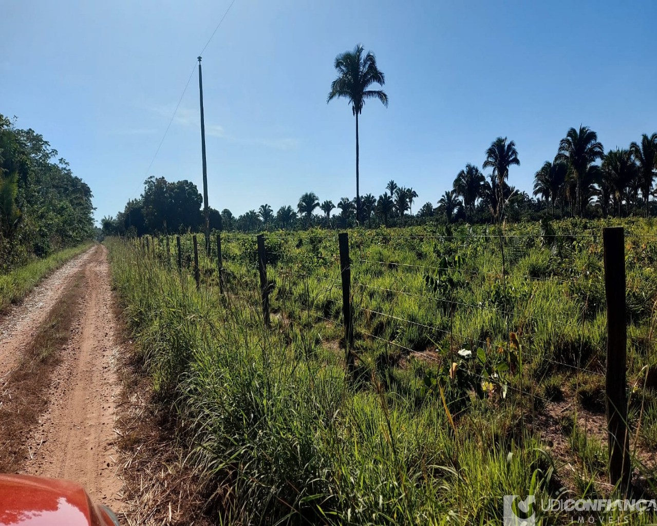 Fazenda à venda - Foto 13