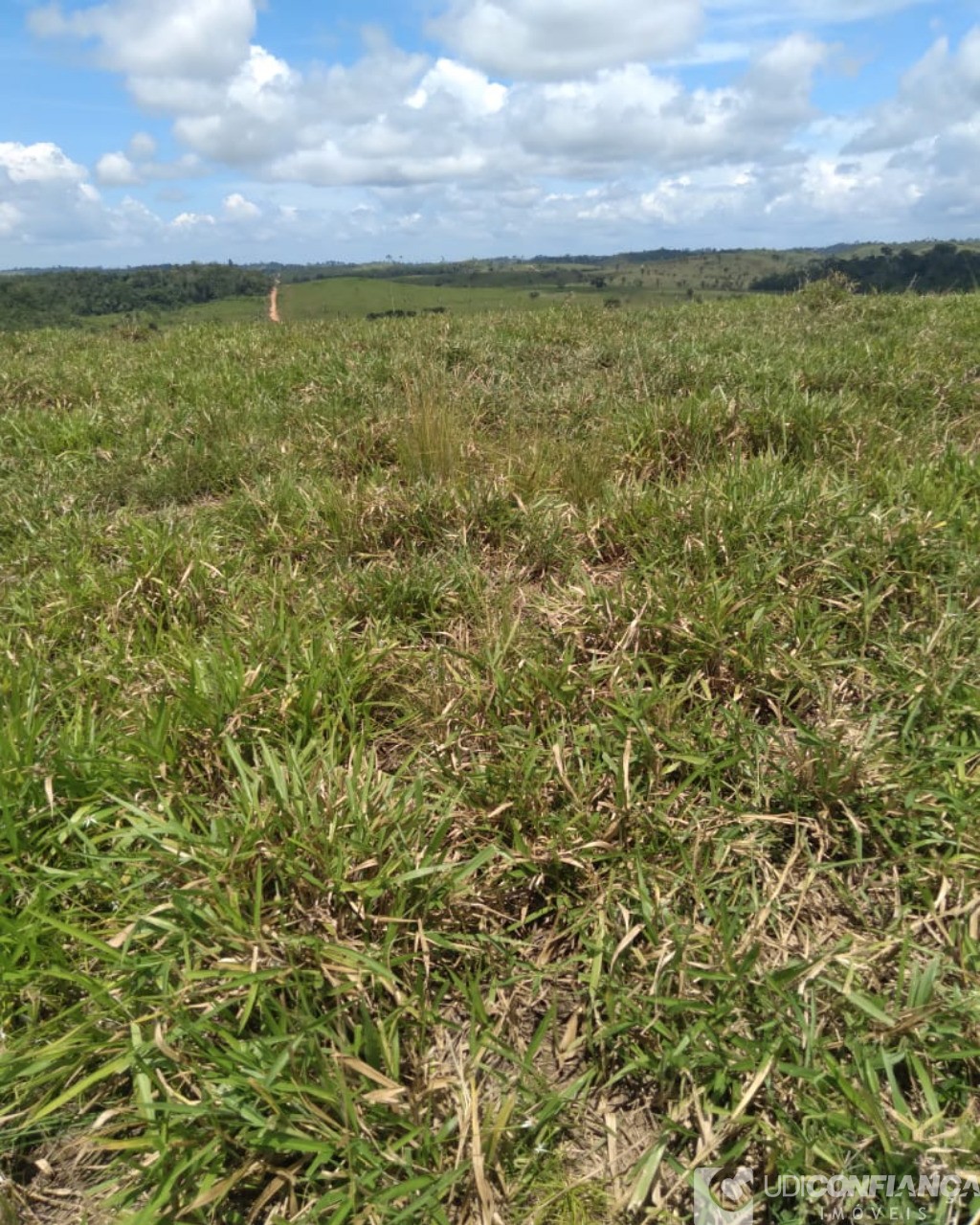 Fazenda à venda - Foto 7