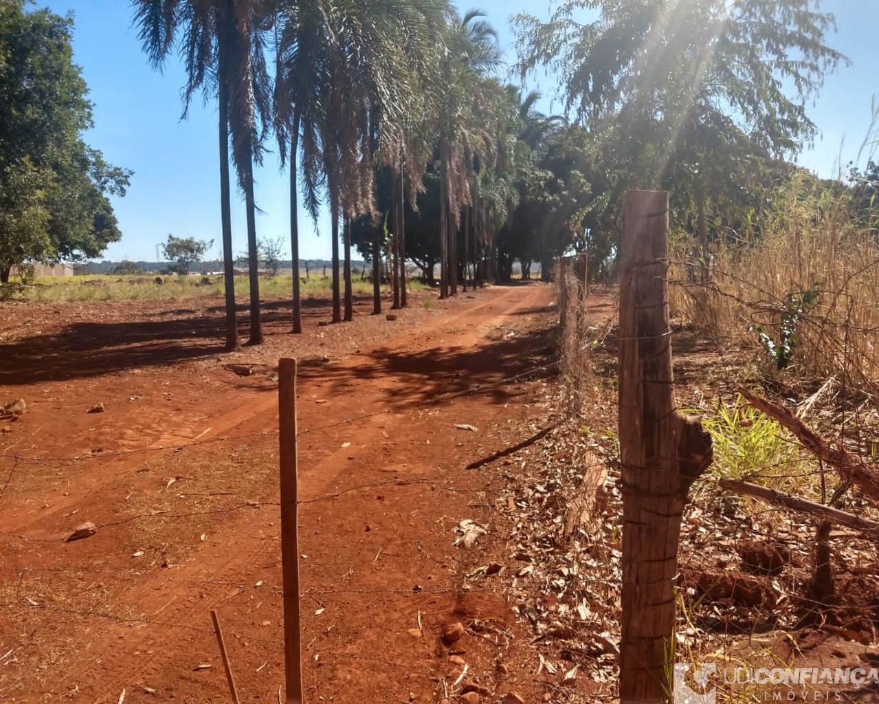 Fazenda à venda, 1500m² - Foto 5